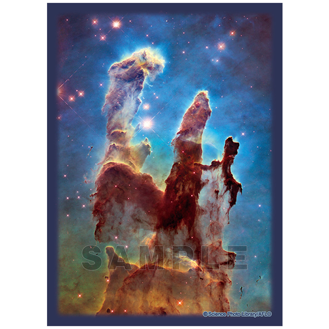 スリーブ | 商品一覧 | TCG / サプライ | 株式会社ブロッコリー