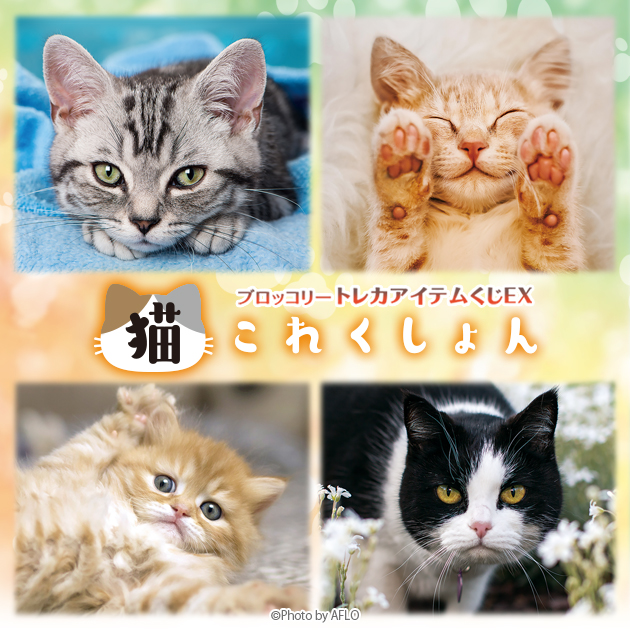 ブロッコリートレカアイテムくじEX「猫これくしょん」｜ブロッコリー