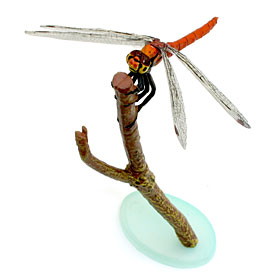 Yujin：原色日本昆虫図鑑Ⅰ