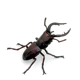 Yujin：原色日本昆虫図鑑Ⅰ