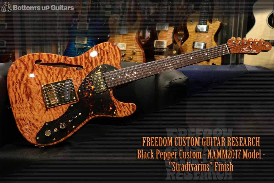 Freedom Custom Guitar Research （FCGR） NAMM2017 Black Pepper