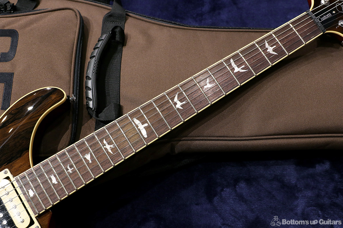 Paul Reed Smith 2019 Limited Edition SE Custom24 