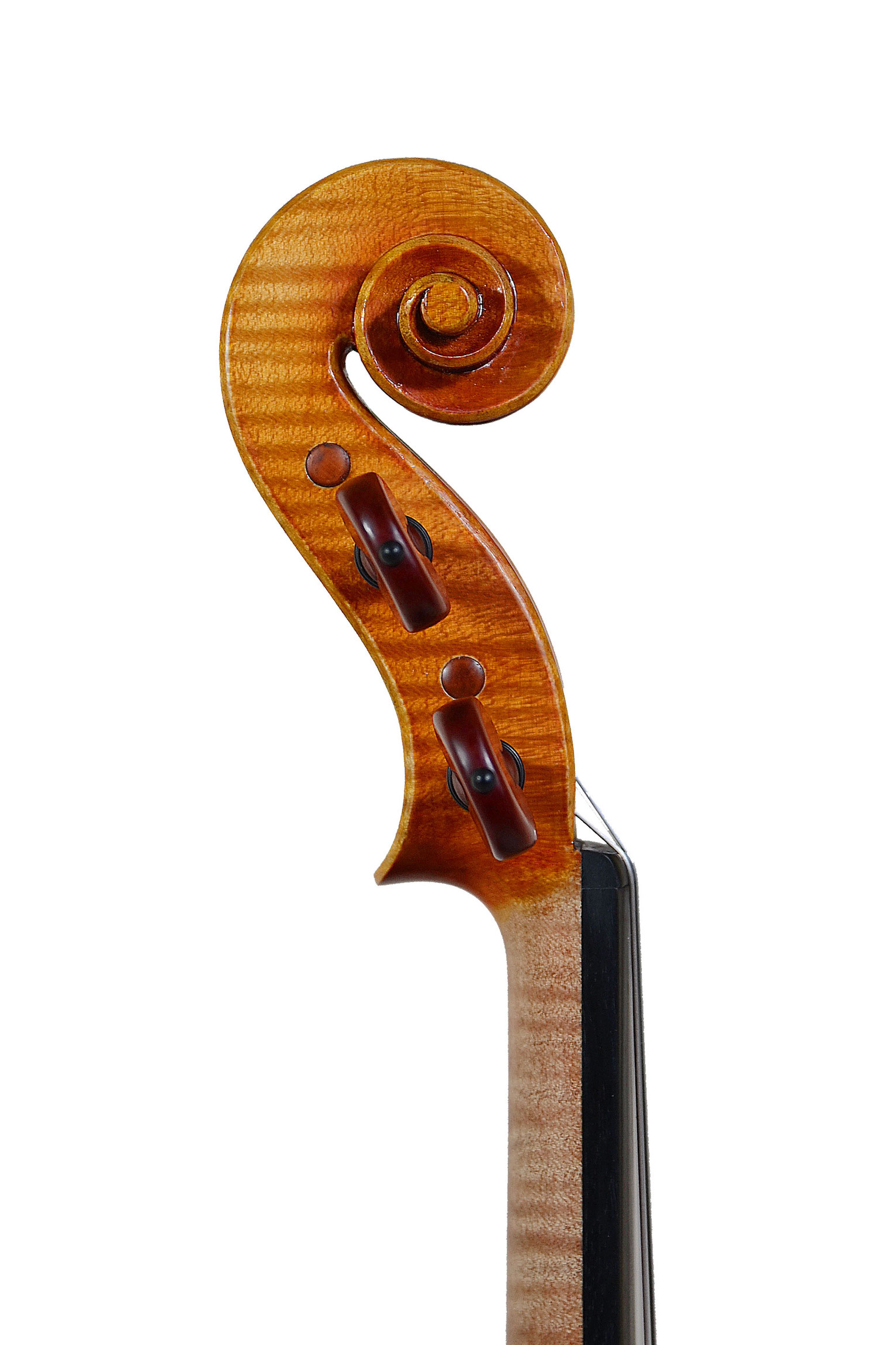 ピグマリウス ペル・オルケストラ / Pygmalius per ORCHESTRA