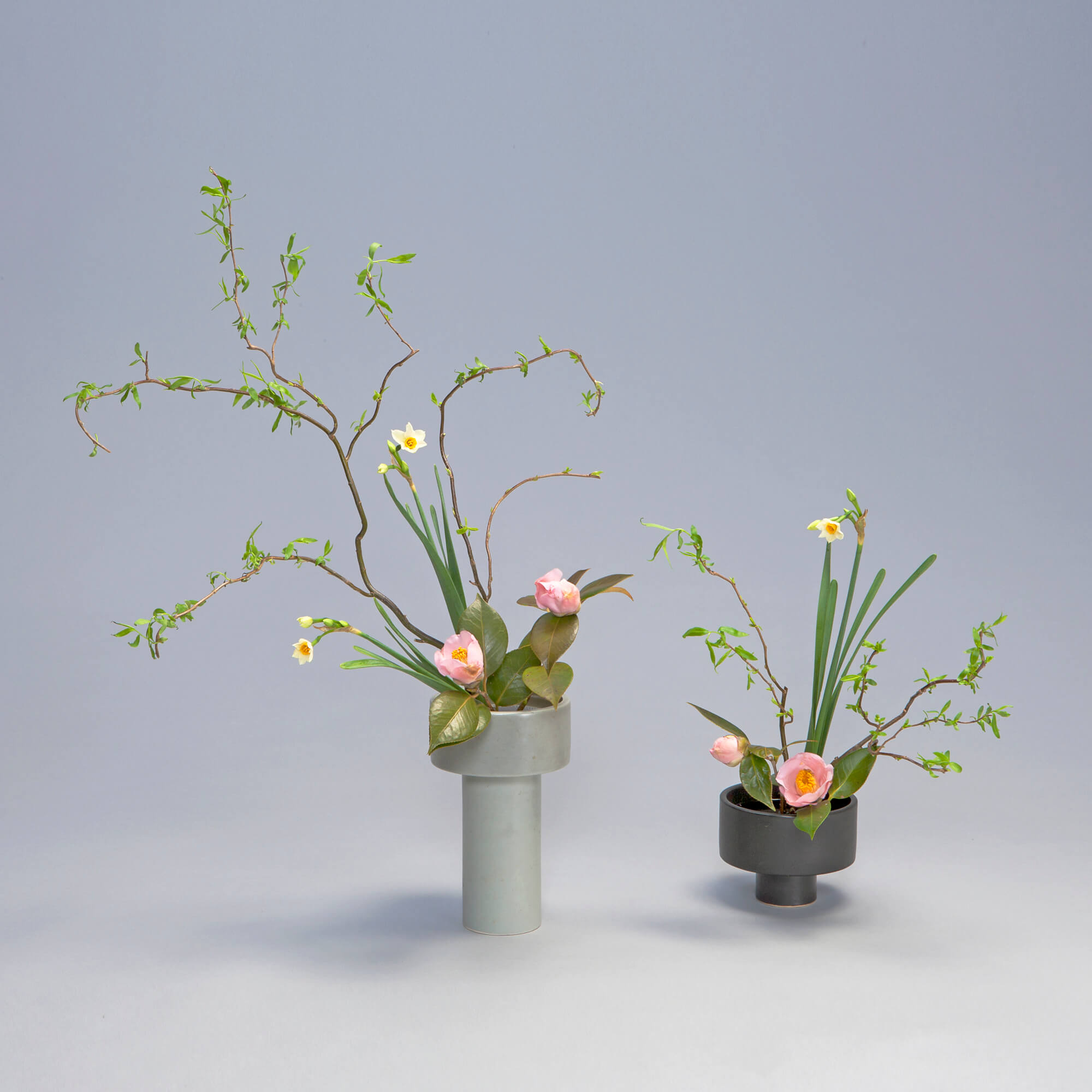 1月のいけばな 明花 - 未生流中山文甫会