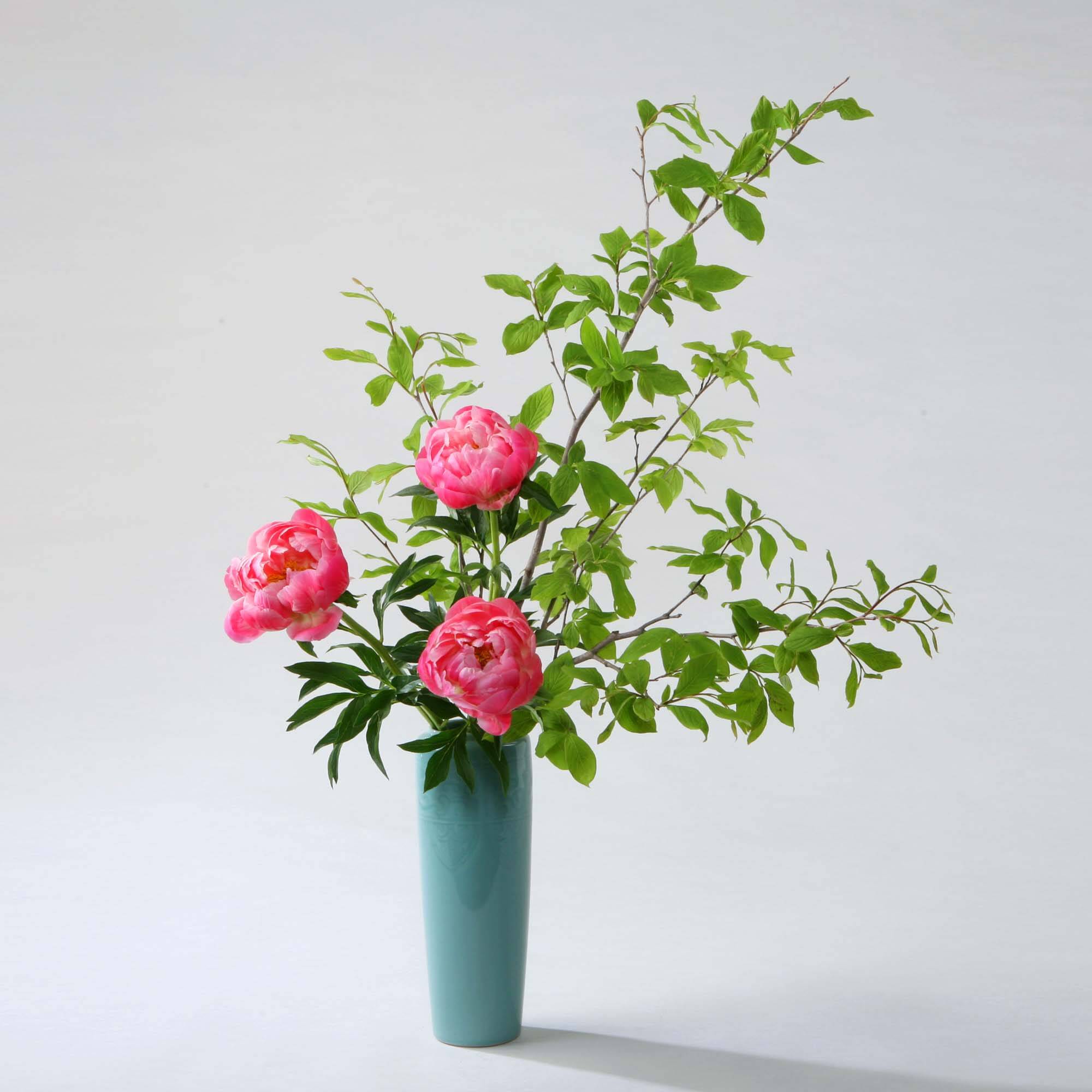 5月のいけばな 瓶花 - 未生流中山文甫会