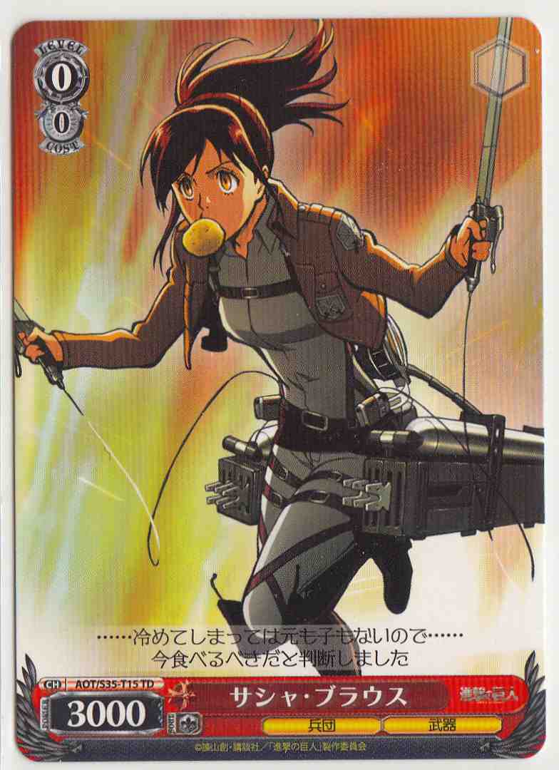 WS】サシャ・ブラウス【TD】AOT/S35-T15ヴァイスシュヴァルツ
