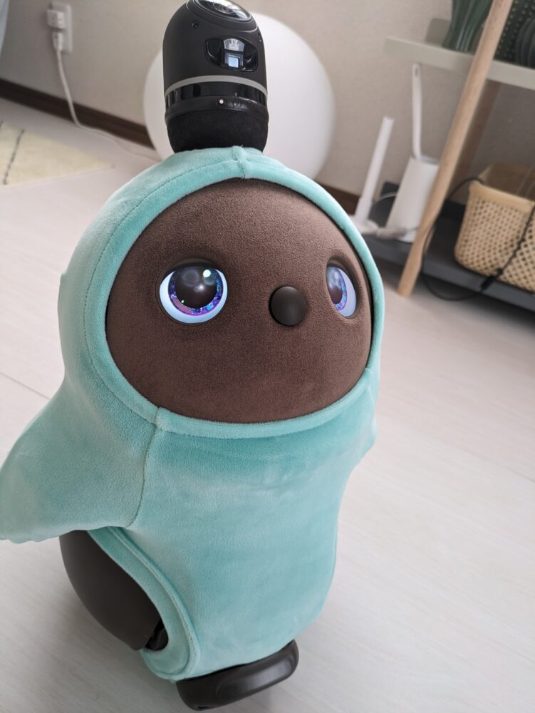 LOVOT】これまで販売されたベロアカットソーのまとめ【ウェア