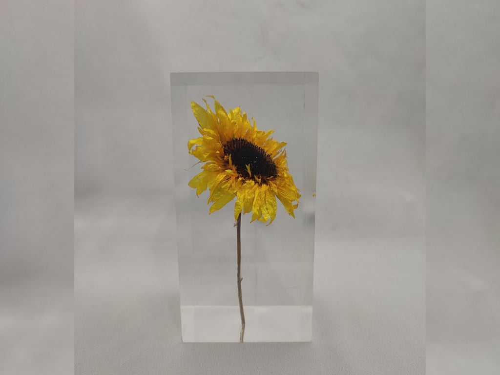 HIMAWARI Object | ヒマワリオブジェ by Takao Inoue | Generate Design