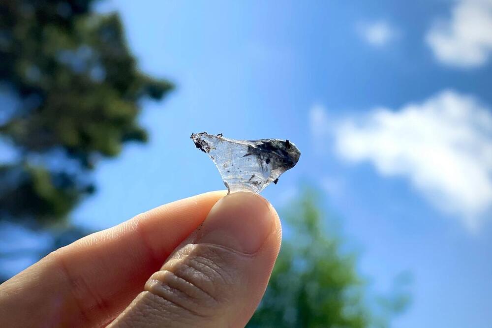 新しいジブン発見旅ー櫻井麻美さんのニチコレ（日日是好日） 第10話