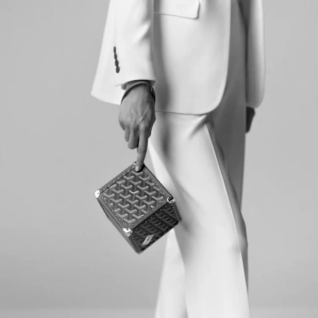 トランク - Maison Goyard