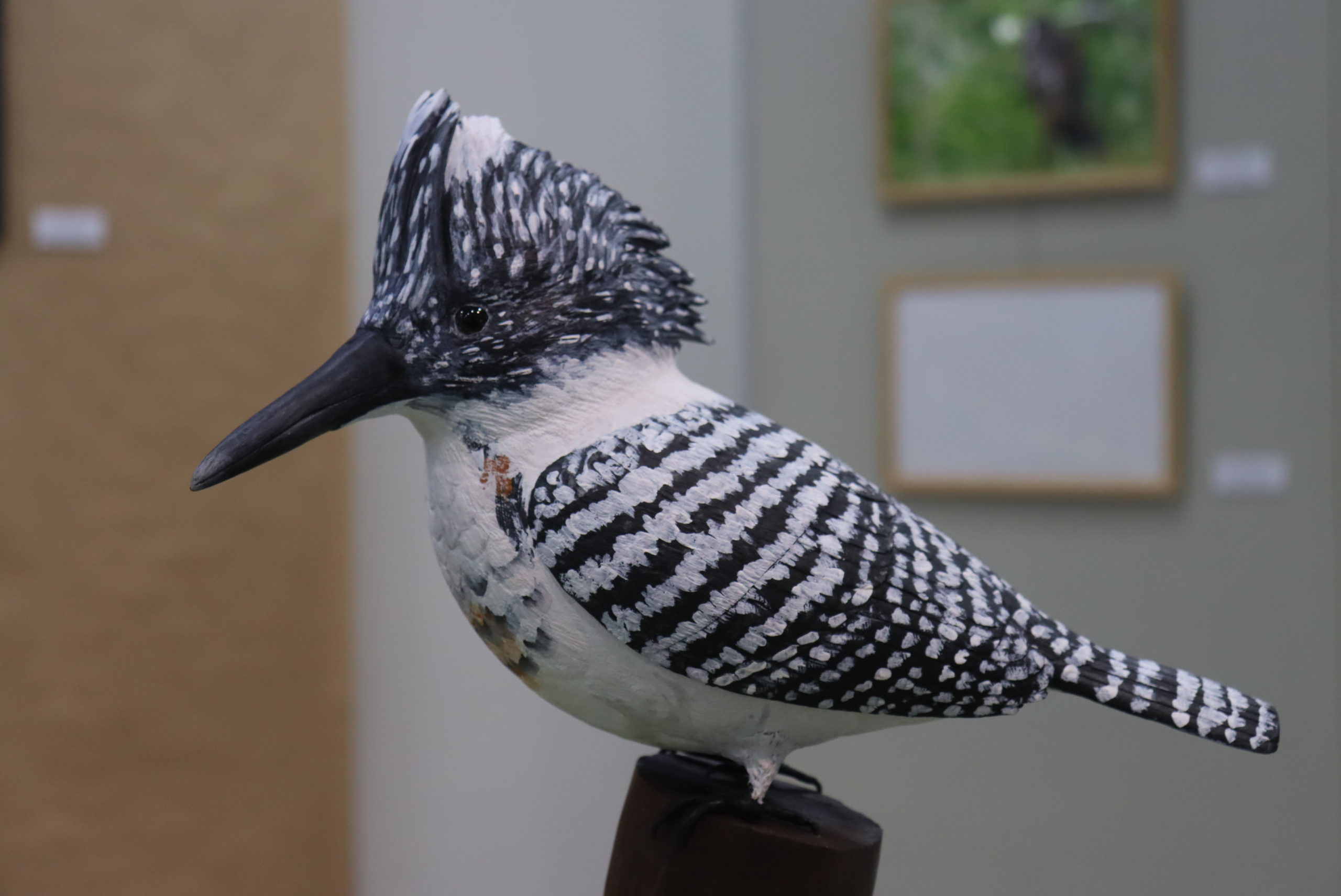 バードカービング作品写真を掲載しました | NPO法人五ヶ瀬川流域