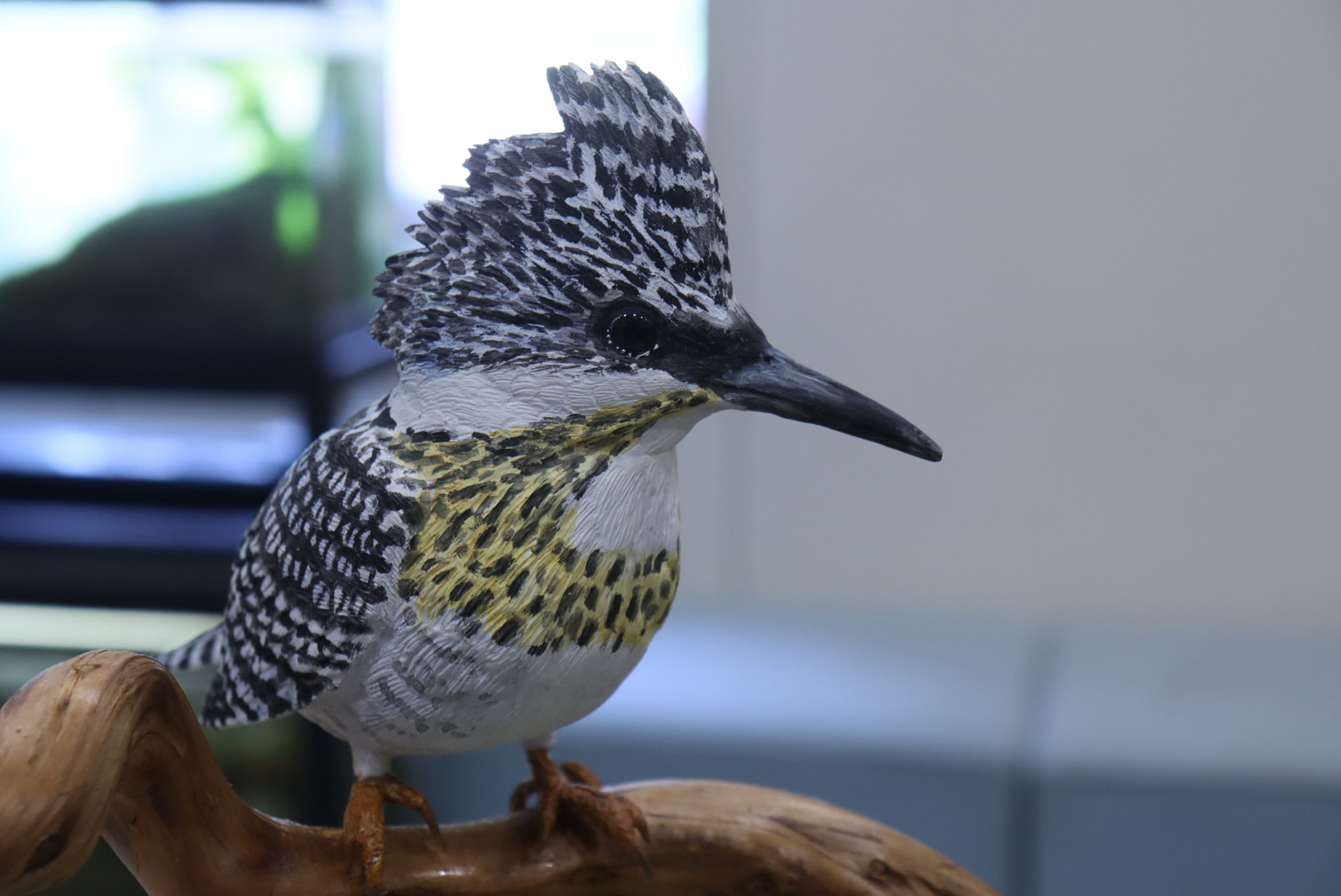 バードカービング作品写真を掲載しました | NPO法人五ヶ瀬川流域