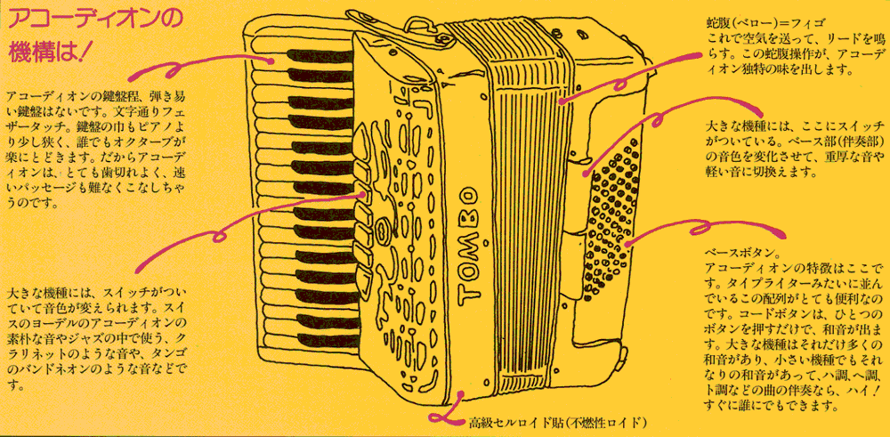 トンボアコーディオンの販売～TOMBO～【ガッキコム】