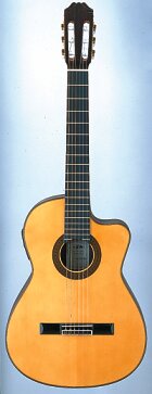 アリア・コンサートギター（Aria Concert Guitars）の販売【ガッキコム】