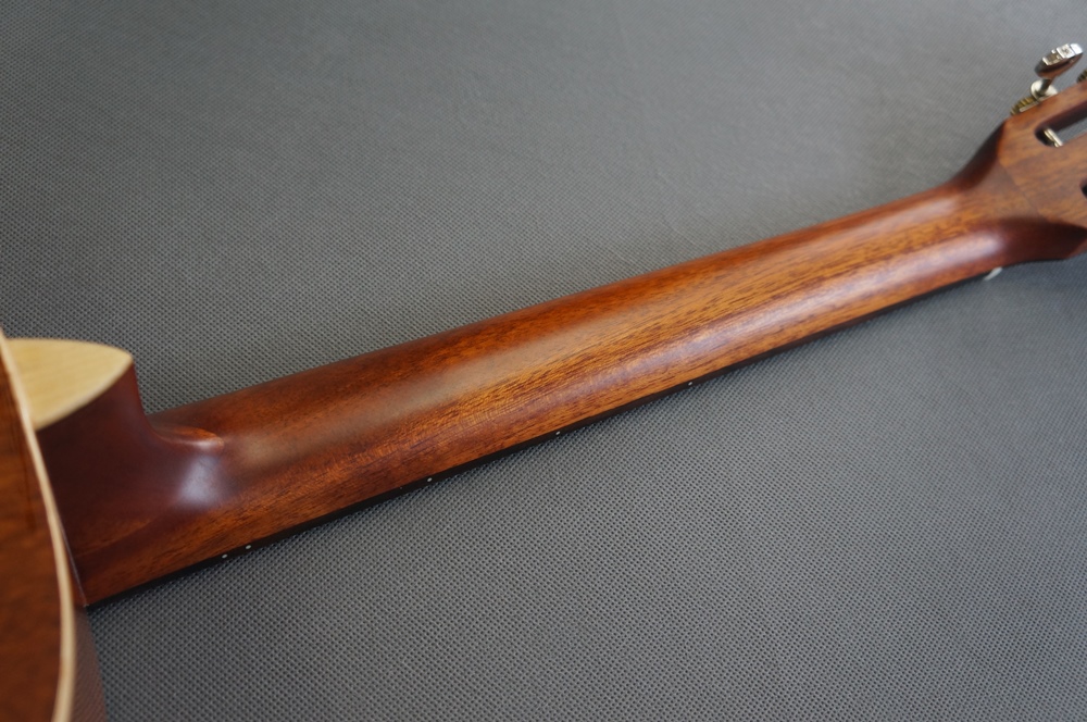 エレアコ DCT F-200E Fishman搭載 エレアコ DCT F-200E Fishman搭載