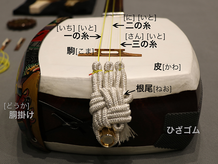 アジアの楽器図鑑