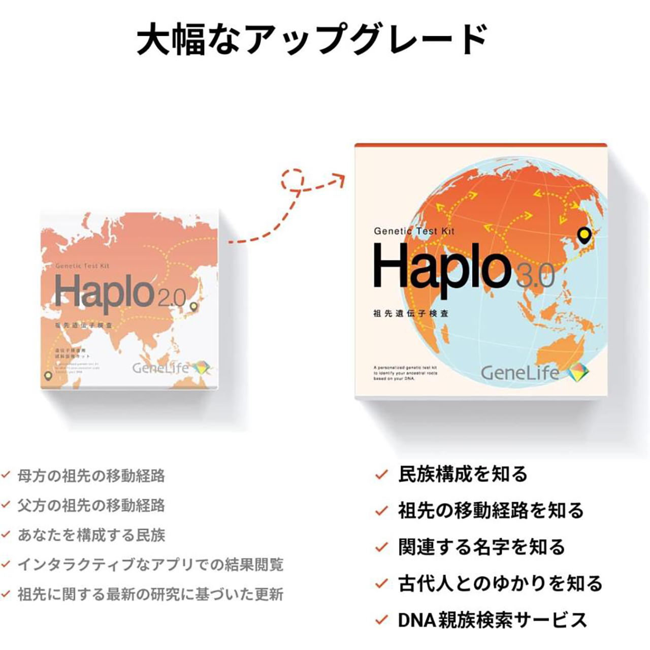 祖先遺伝子検査キット Haplo3.0