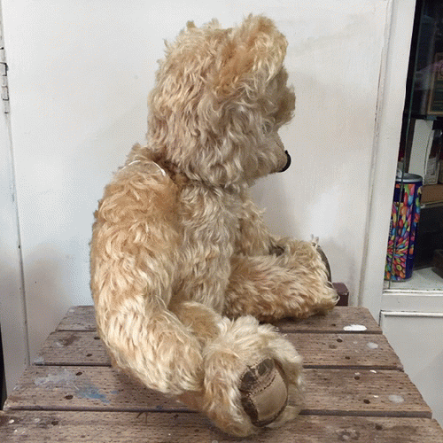 1950's チャドバレー テディベア｜「GENIO ANTICA（ジェニオアンティカ