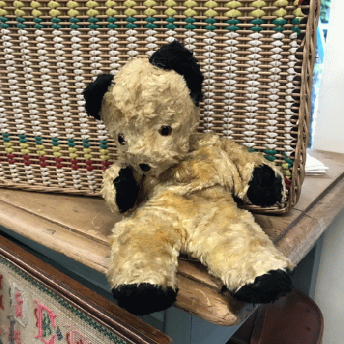 くったり感が可愛い耳黒舌出しスーティーベア｜「GENIO ANTICA