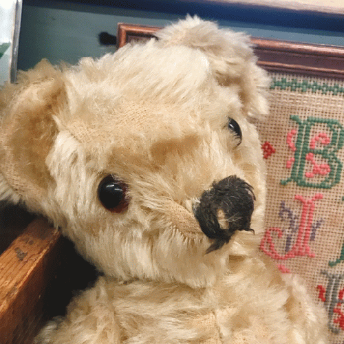 チャドバレー 1940〜50's 大きなグラスアイのテディベア｜「GENIO