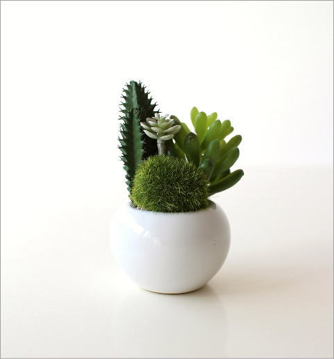 フェイクグリーン 卓上 ミニ おしゃれ 消臭 サボテン 多肉植物 CT触媒