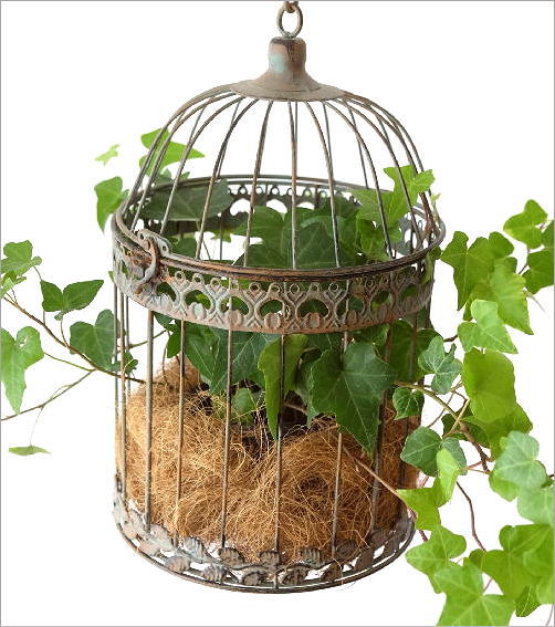 鳥かご アイアン インテリア ガーデニング シャビー アンティーク 観葉