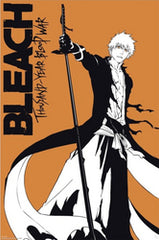 BleachIchigo_medium.jpg?v=