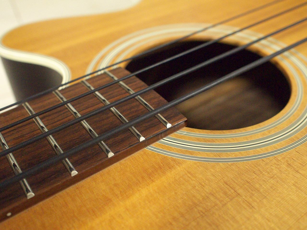 国産アコースティックベース「TAKAMINE PB-15」購入！ | Groove in Life