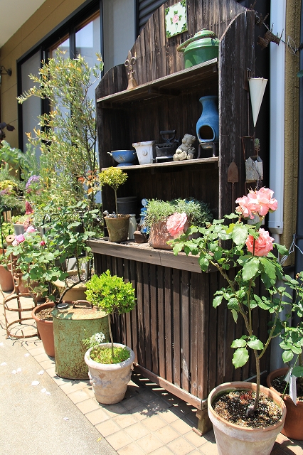 ジャンクガーデンを楽しむ | 庭からの恵み