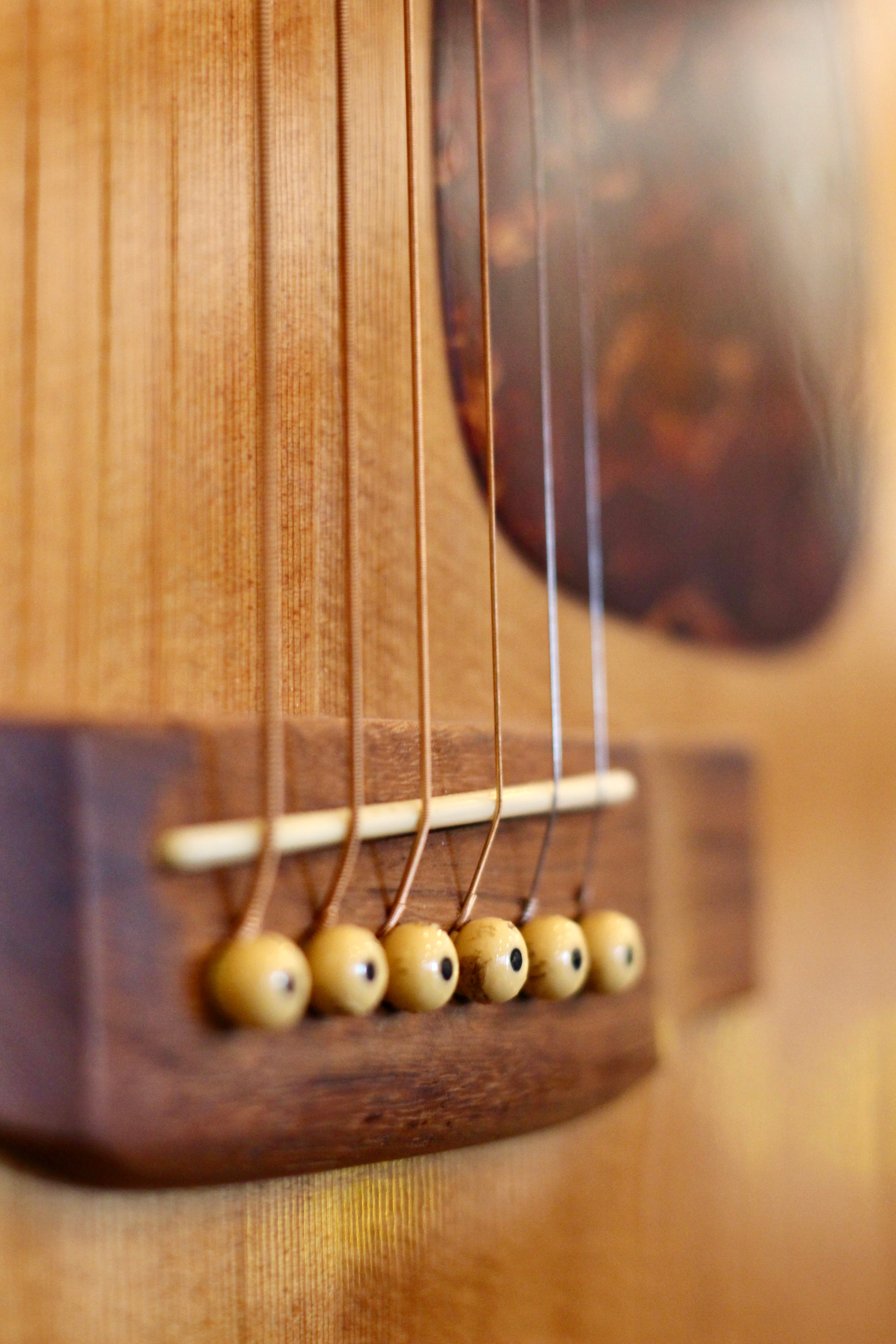 Morris MD-506 Acoustic Guitar – Granata Music Ltd