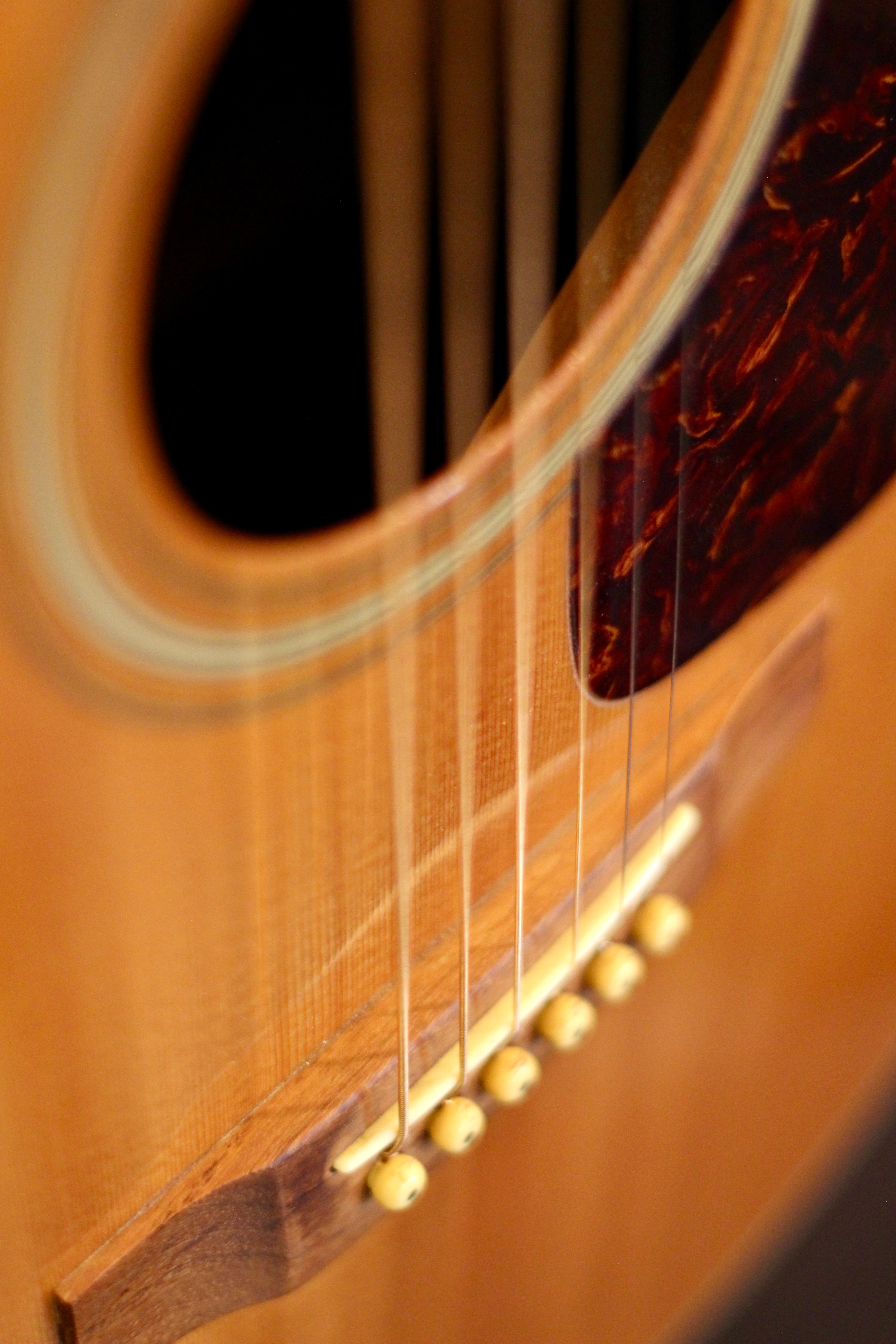 Morris MD-506 Acoustic Guitar – Granata Music Ltd