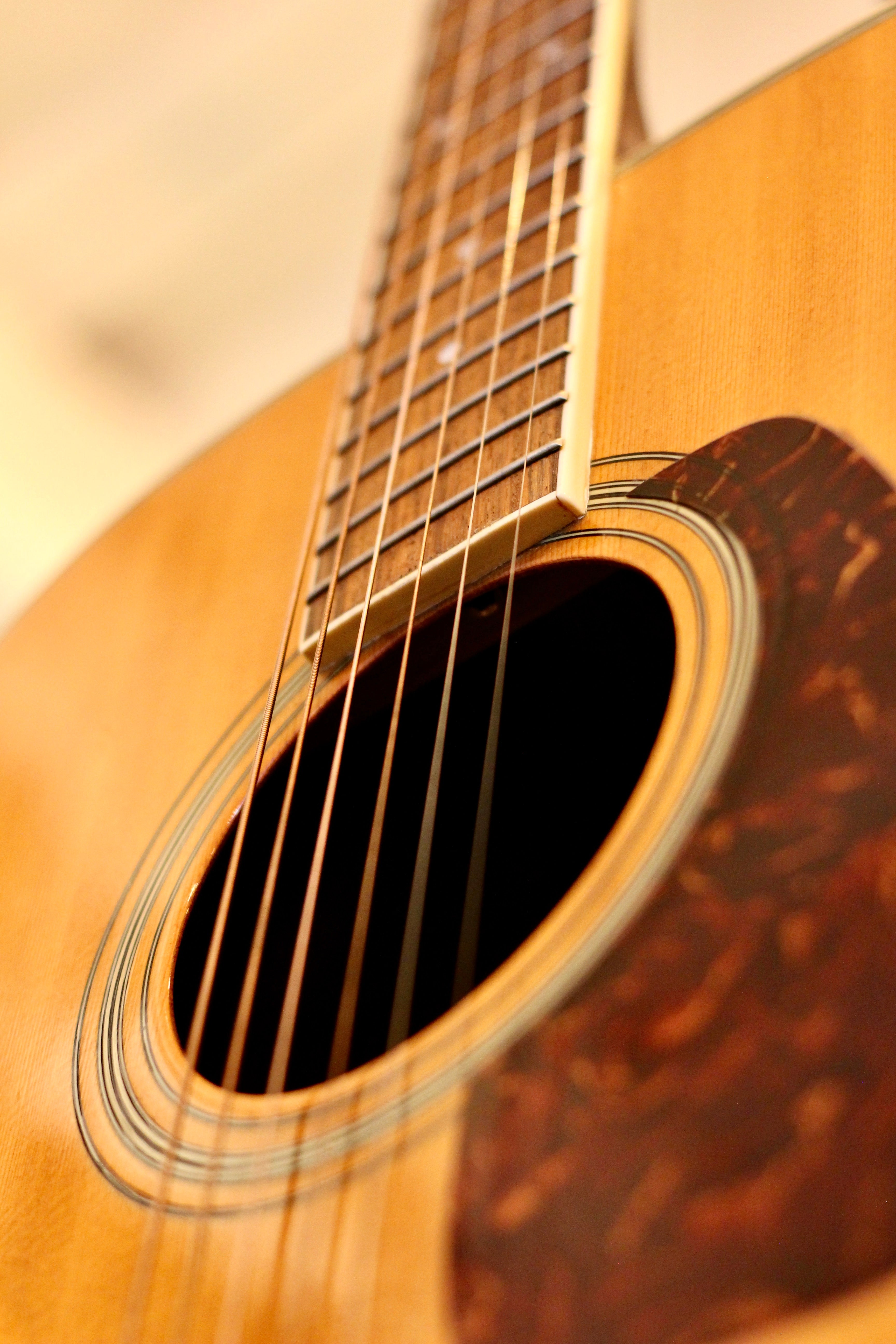 Morris MD-506 Acoustic Guitar – Granata Music Ltd