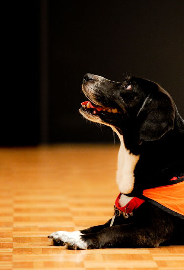 公式】シーガルフォー浄水システム