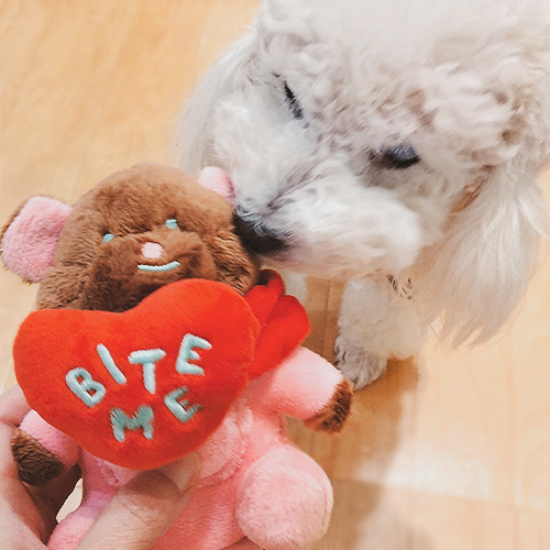 バイトミー ラブベアノーズワークおもちゃ【数量限定】 CZGDV262-00