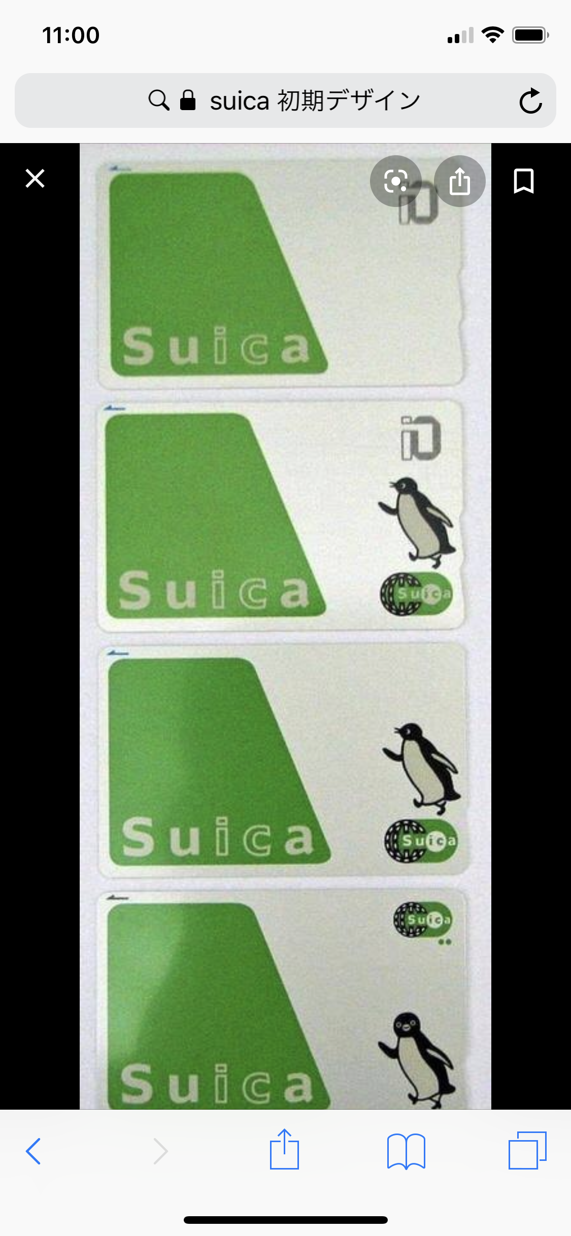 KD♪□スイカ | 登戸・川崎市多摩区