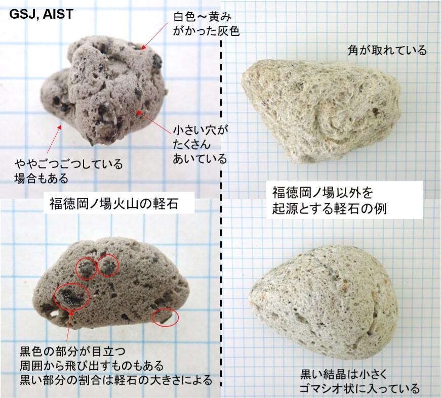 福徳岡ノ場を起源とする軽石の特徴｜災害と緊急調査｜産総研 地質調査