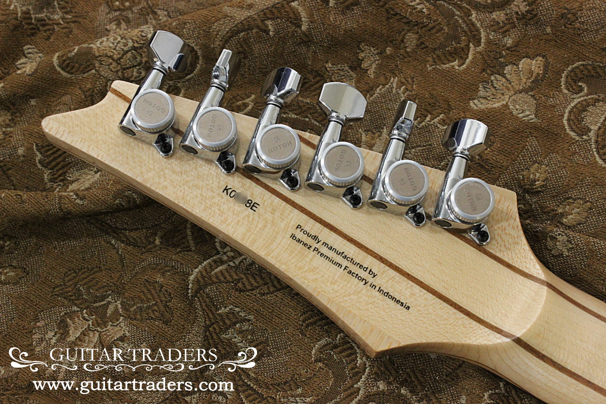 Ibanez PGM80P-NT ポール・ギルバート シグネチャー エレキギター Paul