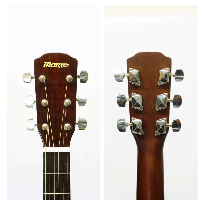 Morris 【M-240KNAT / アコースティックギター / モーリス】 | D-plus