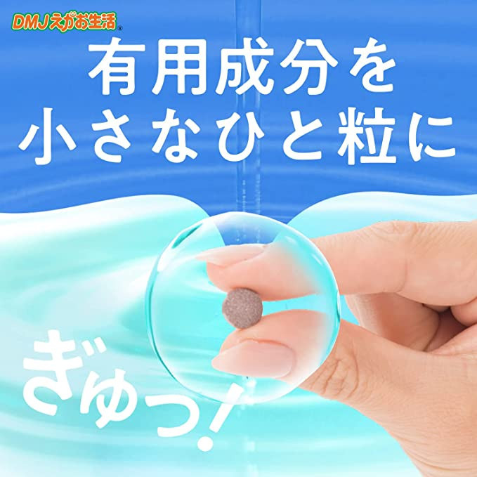 カテキン減脂粒 DMJえがお生活 日本製 31日分 カテキン サプリ お腹の