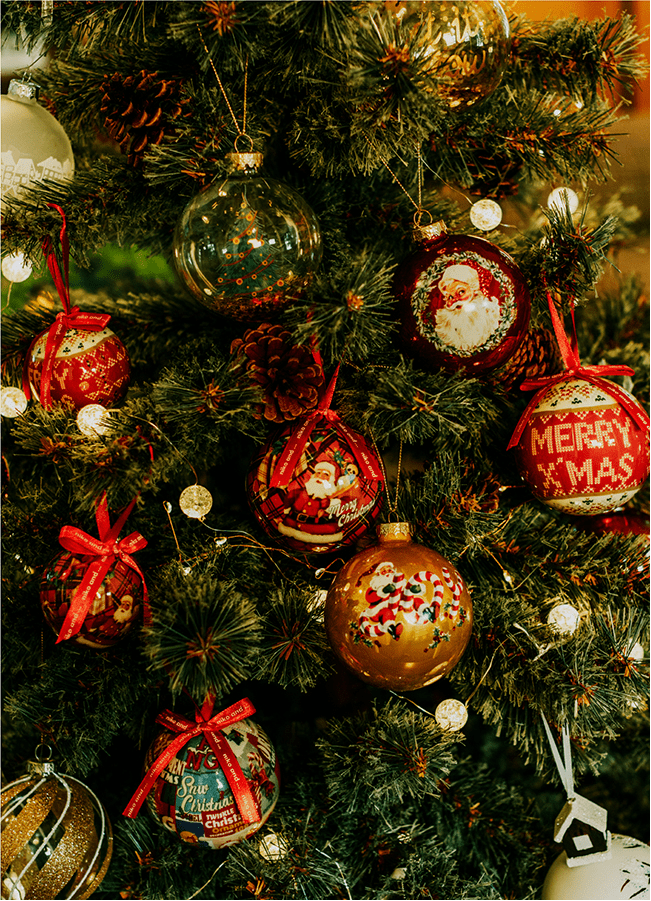 niko and  Christmas Collection 2023