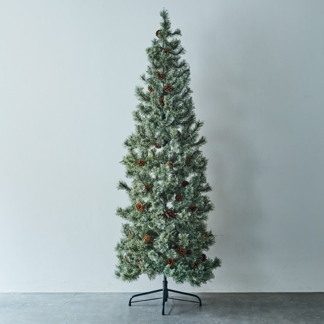 studio CLIP CHRISTMAS TREE