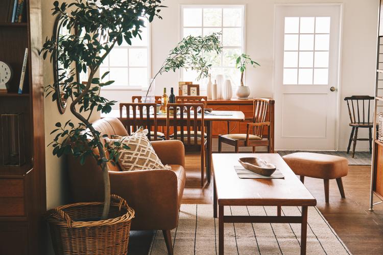 JACKSON ソファの2人掛けがデビュー - DOUBLEDAY ダブルデイ｜ライフ