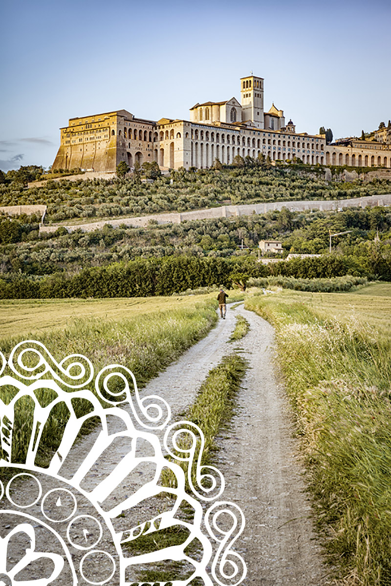 About us, discover d'Olivo shop Online - D'Olivo Shop Online