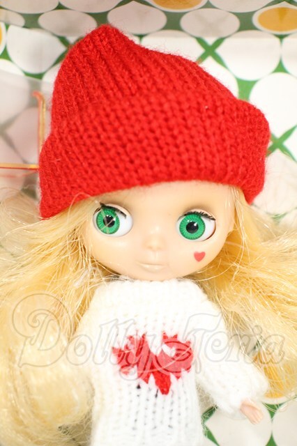 プチブライス/スノーワンダー Y-26-02-18-211-WT-ZY - ドーリーテリア