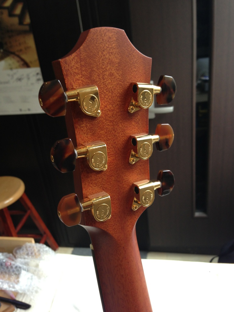 ドルフィンギターズ アコースティックギター・ウクレレ販売