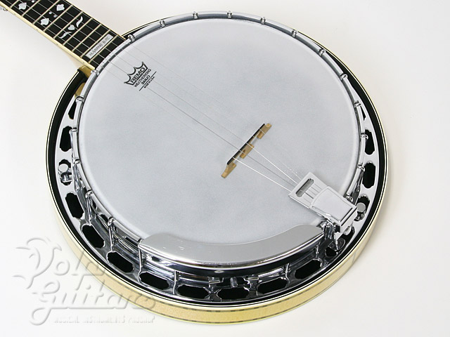 TOKAI T-1000R (Humming Bird Banjo) |ドルフィンギターズ