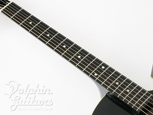 CHAKI P-112|ドルフィンギターズ