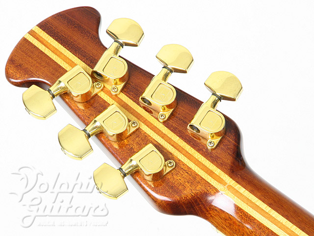 OVATION Glen Campbell Artist 1627|ドルフィンギターズ