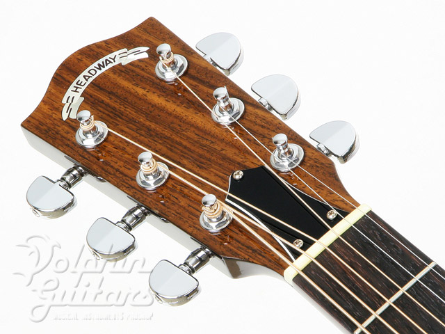 HEADWAY HJ-311|ドルフィンギターズ