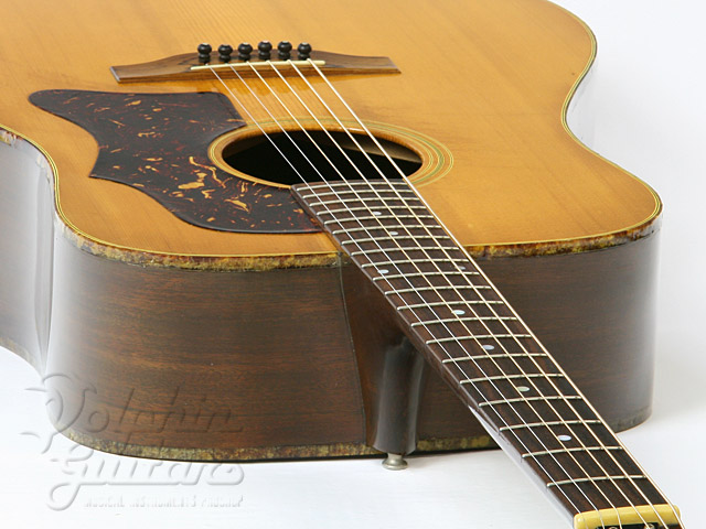 Gibson J-50 Deluxe |ドルフィンギターズ